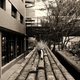 Illustration for article titled Shooting Challenge Gallery: Leading Lines 2